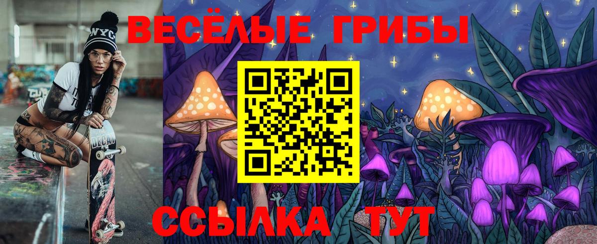 Тайшет  Псилоцибиновые грибы Cubensis  наркошоп  Вход с VPN  Галлюциногенные грибы Magic Shrooms 
