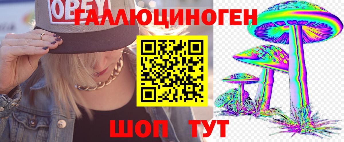 Псилоцибиновые грибы Cubensis Тайшет